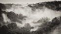 Bedford Gorge Foggy Morning\n\nHonorable Mention - Black & White